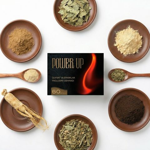 Power-Up — бир идиш тўлиқ курс